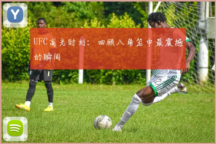 UFC高光时刻：回顾八角笼中最震撼的瞬间