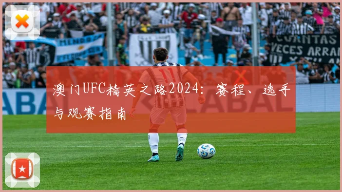 澳门UFC精英之路2024：赛程、选手与观赛指南