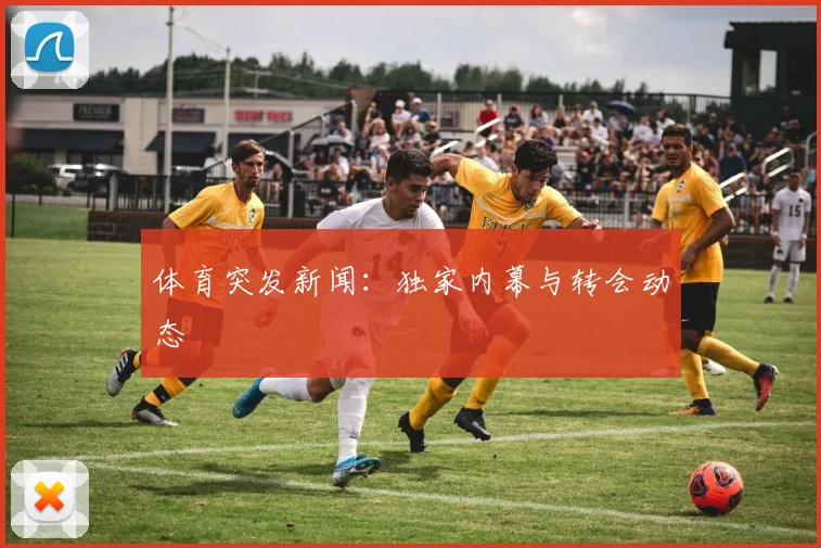 体育突发新闻：独家内幕与转会动态