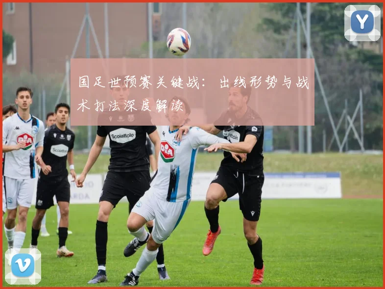 国足世预赛关键战：出线形势与战术打法深度解读