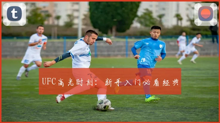 UFC高光时刻:新手入门必看经典