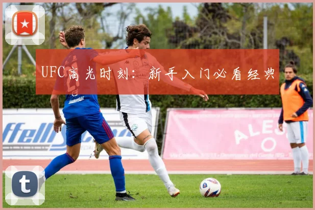 UFC高光时刻:新手入门必看经典