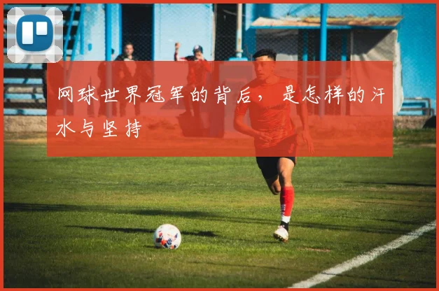 网球世界冠军的背后，是怎样的汗水与坚持