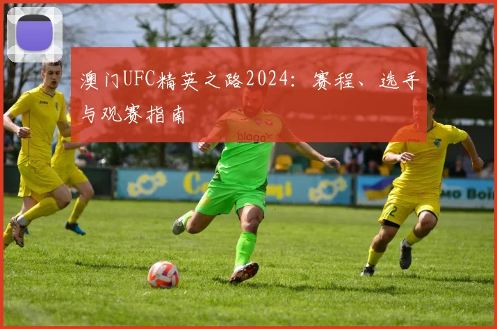 澳门UFC精英之路2024：赛程、选手与观赛指南