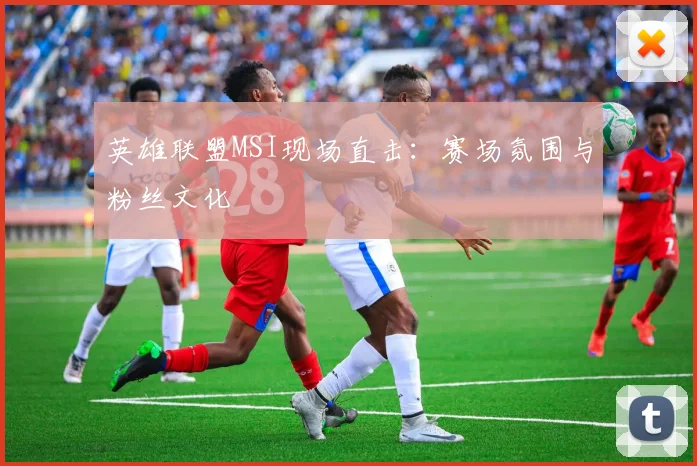 英雄联盟MSI现场直击：赛场氛围与粉丝文化