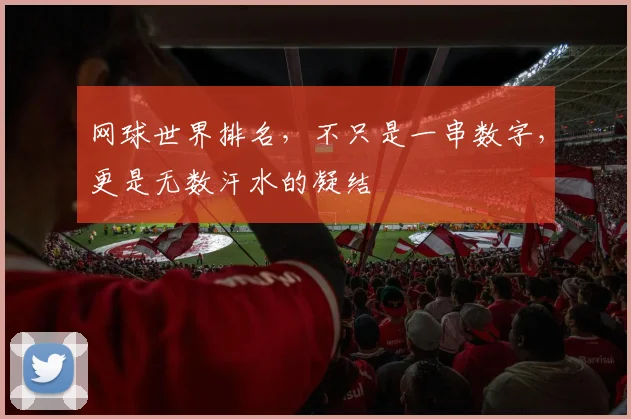 网球世界排名，不只是一串数字，更是无数汗水的凝结