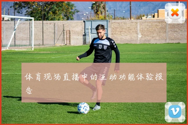 体育现场直播中的互动功能体验报告