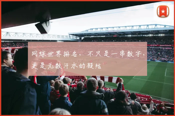 网球世界排名，不只是一串数字，更是无数汗水的凝结